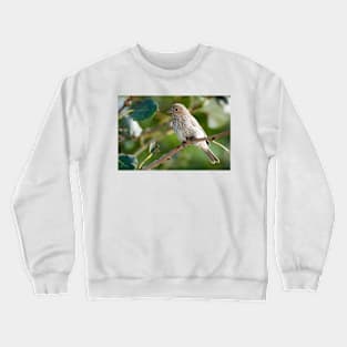 Morning Companion Crewneck Sweatshirt